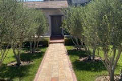 Olive Lined Entrance